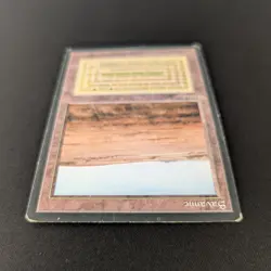 MTG \>> Savannah (PO) <<// Foreign Black Bordered - 341 Trading - Magic - Image 4