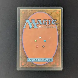 MTG \>> Savannah (GD) <<// Foreign Black Bordered - 341 Trading - Magic - Image 2