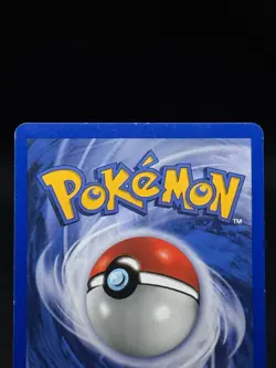 Wartortle 15/18 Southern Islands Pokemon TCG - Image 5