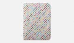 Vault X Pokemon 151 Binder 9 Pocket Zip Eco-Tec Anniversary Edition NEW IN HAND - Image 4