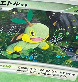 Japanese Pokemon Card Turtwig 001/PPP PLAY Promo Holo SWIRL 2007 MP - Image 2