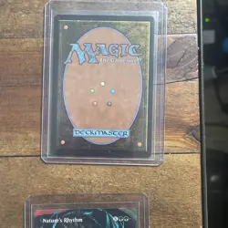 Nature's Rhythm (Borderless) Tarkir: Dragonstorm Regular - Image 3