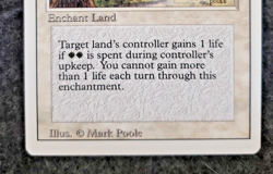MTG - Farmstead - Revised Edition - Magic The Gathering - Near Mint ...(DS3D1K7) - Image 5