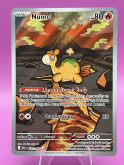 Pokemon TCG Numel 223/217 Illustration Rare IR ME: Ascended Heroes Holo NM - Image 1