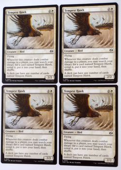 4x Tempest Hawk - Tarkir: Dragonstorm (TDM) - EN - C - 0031 - Image 1