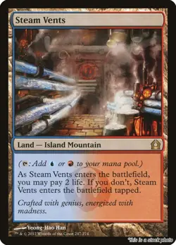 Steam Vents [RTR - 247] - NM TCG MTG - Image 1
