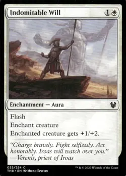 Indomitable Will 025/254 Theros Beyond Death MTG Magic the Gathering card - Image 1