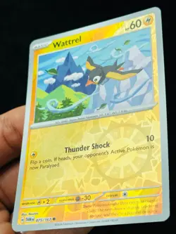 Wattrel 075/167 Reverse holo - LP-NM - Pokemon TCG Card - Teeziro - Image 2