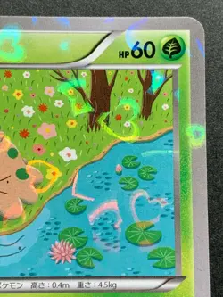 Shroomish 002/032 CP3 1st Pokemon card Japanese Nintendo VERY RARE - Image 3