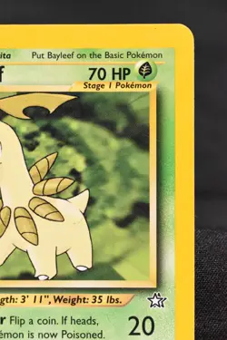 Bayleef 1st Edition 28/111 LP Neo Genesis Regular Uncommon Pokemon TCG Card - Image 3