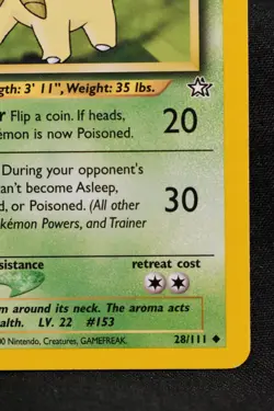 Bayleef 1st Edition 28/111 LP Neo Genesis Regular Uncommon Pokemon TCG Card - Image 4