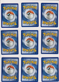 Pokemon First Partner Illustration 30th Collection Complete Promo Set 9 Cards NM - Image 2