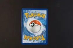 Rockruff TG07/TG30 Holo Shiny Pokemon TCG Card Silver Tempest 2022 NEAR MINT - Image 2