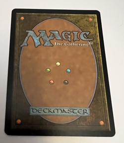 MTG Battlefield Forge Apocalypse - SIGNED by Artist Darrell Riche Magic - Image 3