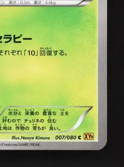 Petilil 007/080 1st ED LP Rage of the Broken Heavens Japanese Pokemon Card TCG - Image 3