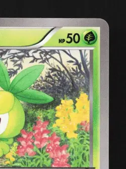 Petilil 007/080 1st ED LP Rage of the Broken Heavens Japanese Pokemon Card TCG - Image 5