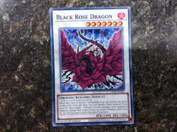 Rose DECK CORE Black Dragon Red White Ruddy Black Garden Yugioh - Image 4