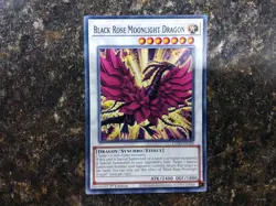 Rose DECK CORE Black Dragon Red White Ruddy Black Garden Yugioh - Image 5