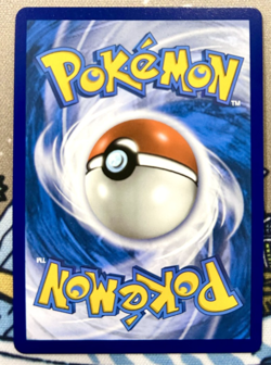 Pokemon - Gym Trainer - 191/195 - SWSH Silver Tempest - Full Art Trainer - Image 2