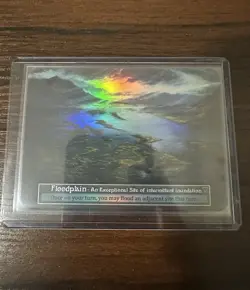 Floodplain Foil - Beta - Sorcery Contested Realm - Image 1