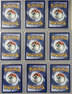 Pokemon First Partner Illustration Collection Series 1 Complete Set 2026 - Image 5