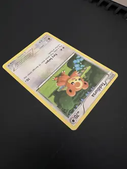 Teddiursa 75/101 B&W Plasma Blast 2013 Pokemon Card Common NM - Image 4