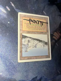 HP - Revised Edition Taiga Signed By Artist Rob Alexander - Image 3