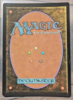 2021 MTG SECRET LAIR DROP SHOWCASE: MIDNIGHT HUNT FOIL #357 GAVONY TOWNSHIP - Image 2