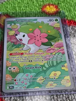 Pokemon TCG- Destined Rivals - Shaymin Illustration Rare Card, 185/182, NM. - Image 2