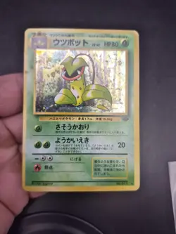 Japanese Holo Rare Victreebel Pokemon card # 071 Jungle set - Image 5