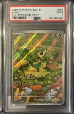 Lot of (8) Pokemon ,All PSA 9, Debbie, Snivy, Feebas, Omanyte Noibat + - Image 3