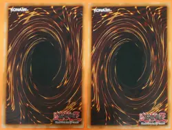 YuGiOh - The Lady in Wight (LODT-EN038) - Common - 1st Ed - LP/MP - Image 2