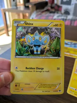 Shinx Evolution Line Pokemon Collection Set - 16 card lot - Image 1