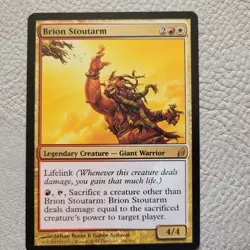 Commander Magic Deck 100 Cards = CAT Tossing Life is Fun for the Whole OG Family - Image 1