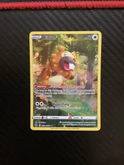 Bidoof Full Art Crown Zenith GG29/GG70 Ultra Rare Pokemon TCG Near Mint - Image 1