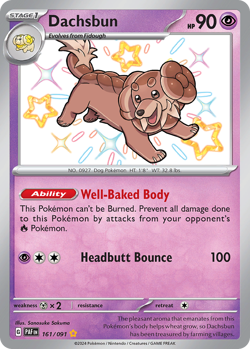 Dachsbun 161/091 Shiny Rare Paldean Fates Pokemon NM/M - Image 4