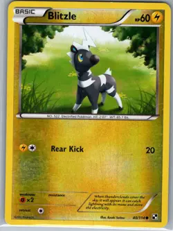Blitzle 40/114 Reverse Holo - Black and White - Pokemon Card - LP - Image 1