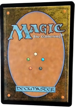 Warden of the Grove (Borderless) - Tarkir: Dragonstorm (TDM) - EN - R 0351 - Image 2