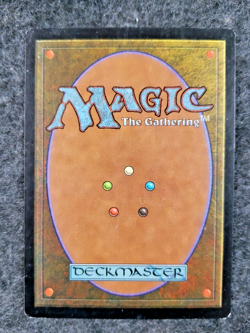 Fruition Magic: the Gathering Portal Starter Set LP ...................(DS3D1K4) - Image 2