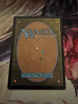 Hall of Heliod's Generosity 162 Commander: Wilds of Eldraine MTG NM - Image 2