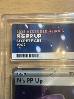 N's PP Up 262/217 Ascended Heroes Pokemon TCG GRADE ACE 10 GEM Mint - Image 5