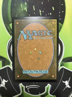 Mtg spider-man - Spider-Punk Borderless non-foil rare R 0210 NM - Image 2