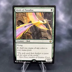 Birds of Paradise The List Reprints Regular - Image 1