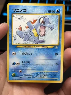 Pokemon TCG Neo Premium File 1 Folder 8 Card Set Feraligatr Typhlosion - Image 3