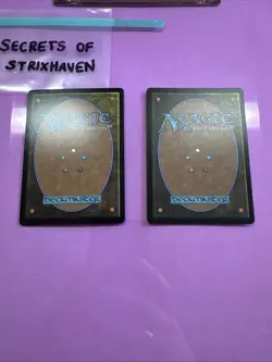 Vastlands Scavenger - Mtg: SOS - R 0166 (X2) *1 Foil - Image 4