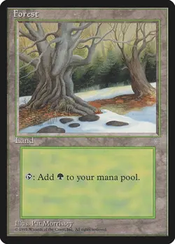 MTG Ice Age --- FOREST (382) --- Common! NM! Magic the Gathering! - Image 3
