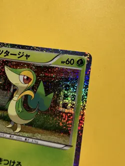 Snivy Holo | Collection Sheet 001/009 CS1 | Pokemon Karte Japanese PR - Image 2
