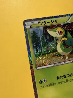 Snivy Holo | Collection Sheet 001/009 CS1 | Pokemon Karte Japanese PR - Image 3