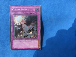 Yugioh Divine Wrath/Colere Divine RDS-FR050, 1st ED - French, Ultimate Rare LP - Image 2