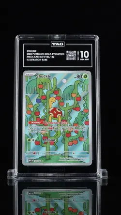 TAG 10 Pokemon TCG Shuckle Holo Mega Evolution Illustration Card 136/132 - Image 1